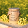 rapeseed-honey-treasures-mites-rapeseed-field