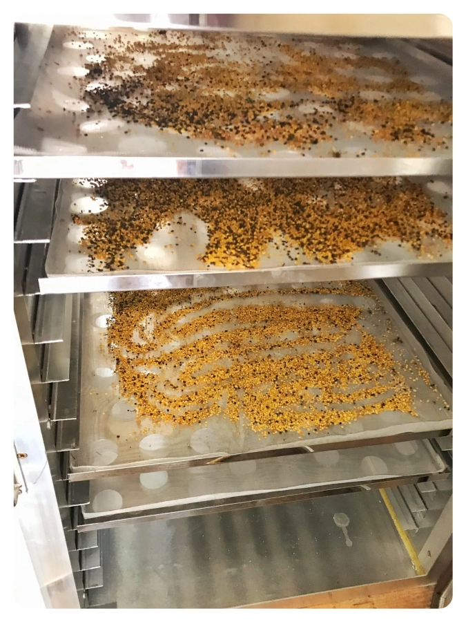 Pollen-trocknen-Bienenschatz-von-Roztocze
