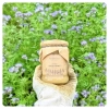 Phacelia-Honig-Mittelgroßes-Glas-Honig-aus-der-Imkerei