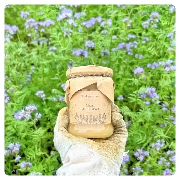 phacelia-honey-medium-jar-of-honey-from-the-apiary