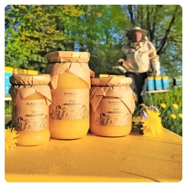 Löwenzahnhonig