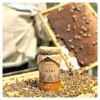 forest-honey-straight-from-the-hive-small-jar