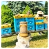 multi-flower-honey-straight-from-a-polish-apiary-small-jar