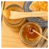 multi-flower-honey-liquid-crystallized-treasures-mites