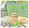 phacelia-honey-small-jar-of-honey-from-the-apiary
