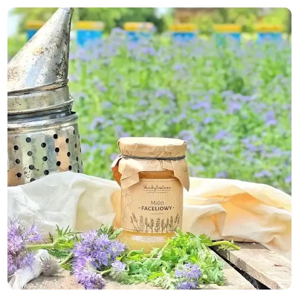 Phacelia-Honig-kleines-Glas-Honig-aus-der-Imkerei