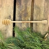 cuillère à miel en bois trésors de roztocze