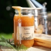 miel de foret 1000g skarby roztocza face carree