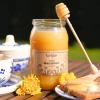 miel de pissenlit 1000g skarby roztocza carré produit face consistance cuillère petit déjeuner
