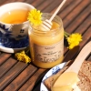 miel de pissenlit 650g skarby roztocza produit face carré cuillère à miel texture petit déjeuner2