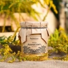 miel de verge d'or 650g skarby roztocza produit vue de face