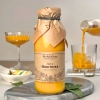 Sanddornsaft Schätze von Roztocze Produkt Front quadratisch3