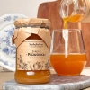 treasures of roztocze japanese quince syrup front square