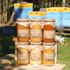 assorted honey set 6 large jars beehive