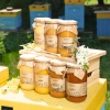 set aus verschiedenen honigsorten 7 große gläser produkt bienenstock
