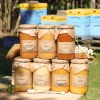 set aus verschiedenen honigsorten 7 große gläser produkt bienenstöcke im hintergrund