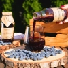 skarby roztocza honeyberry juice 100percent
