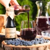trésors du roztocze chèvrefeuille bleu sirop naturel