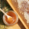 miod-lesny-konsystencja-pasieka-skarby-roztocza.webp