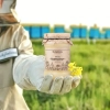 miod-rzepakowy-maly-pasieka-skarby-rozocza-na-rzepaku.webp