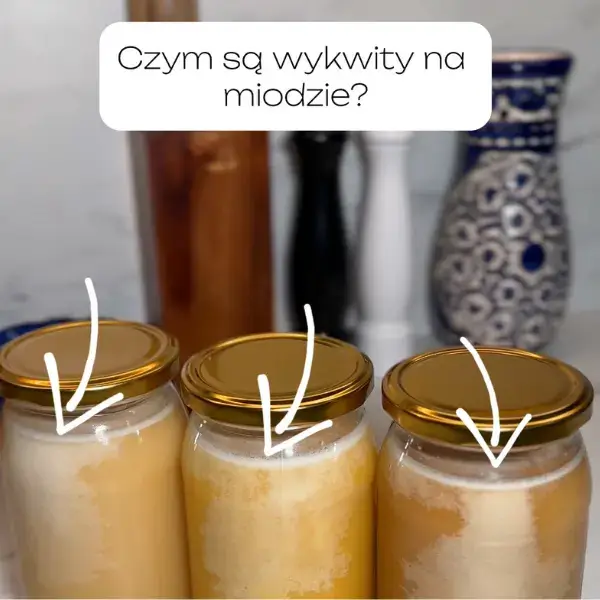 czym-sa-wykwity-na-miodzie