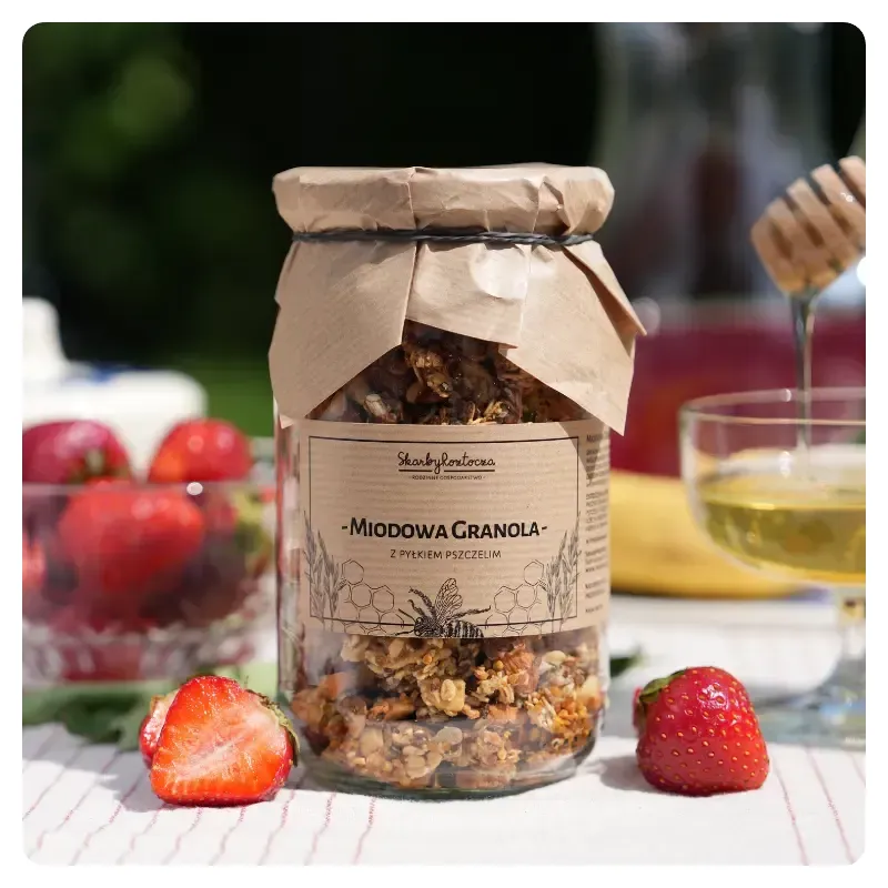 granola_z_pylkiem_na_sniadanie