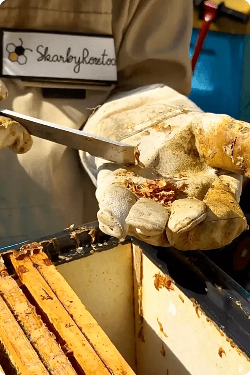 pszczelarz_kit_pszczeli_propolis